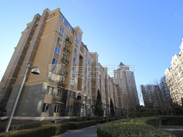 【多图】金港国际,大望路租房,1室1厅 金港国际,朝阳租房-北京58安居