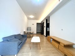 大亚湾大亚湾龙光德州城龙光城珑寓 1室1厅1卫  电梯房 精装修54平米出租房源真实图片