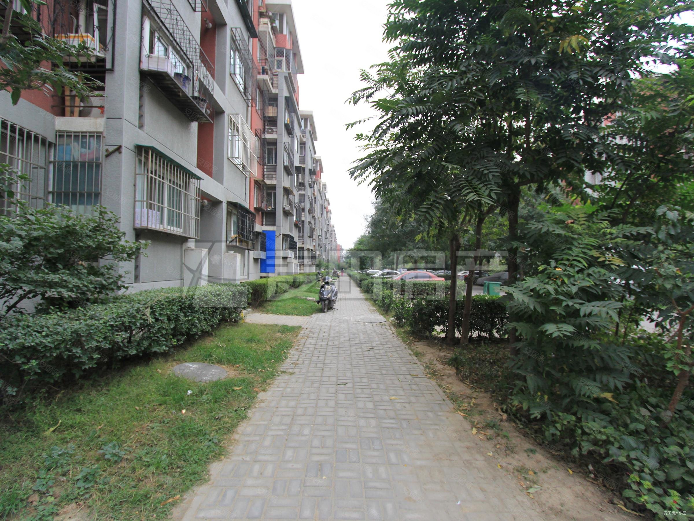 龙锦苑东一区,南北两居,纯毛坯,园区中间,近8号线地铁,急售