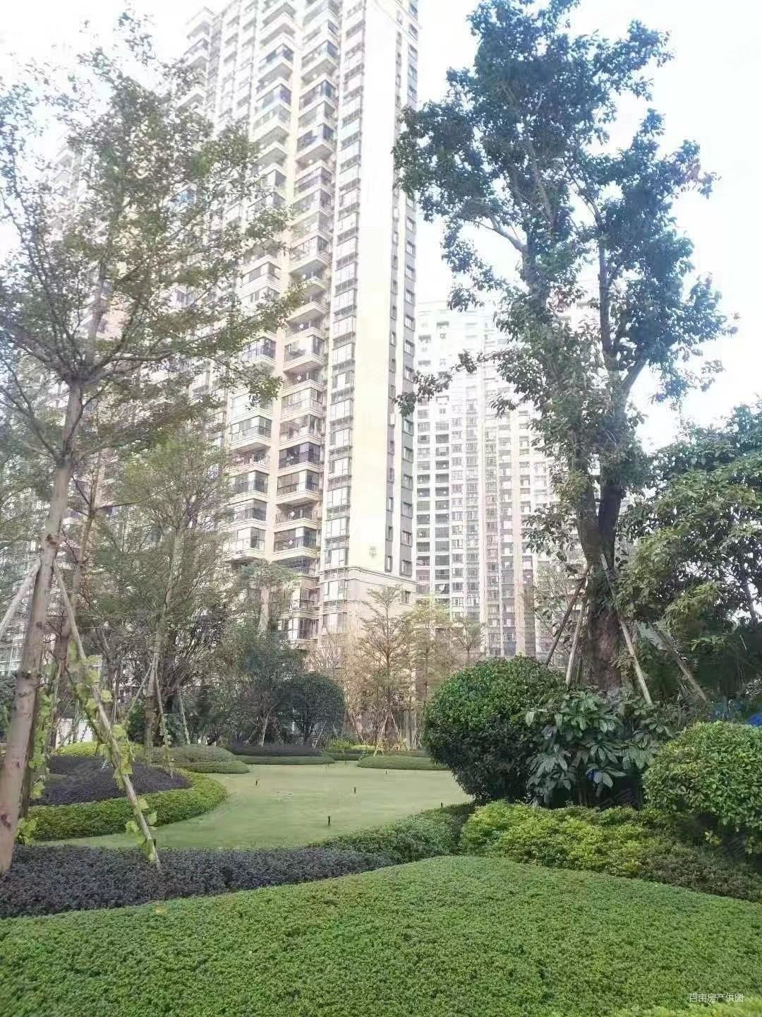 柳州房产网>柳州二手房>柳南二手房>柳南二手房>恒大雅苑>1080_1440竖