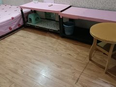 达州通川老车坝本人独卫单间出租中心广场,达一中附近出租房源真实图片