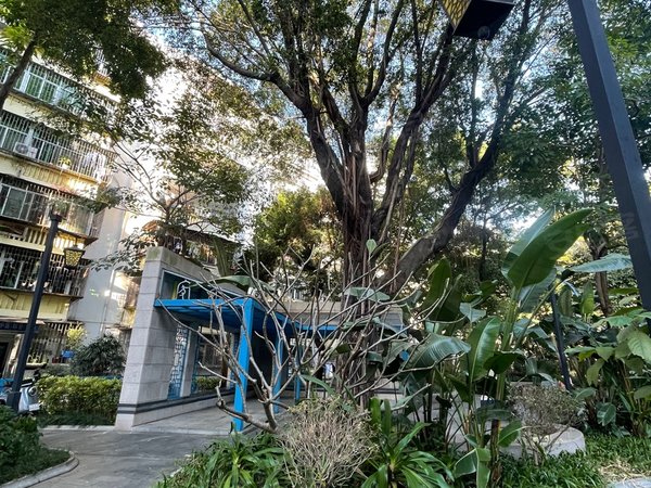 深圳福田华强北华新村华强北华新村稀有精装两房两卫,双阳台,南北通透