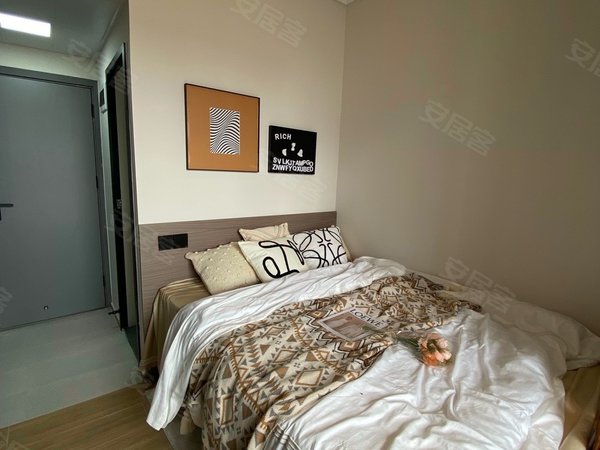 深圳龙岗坂田雪象花园岗头大单间电梯精装修.出租房源真实图片