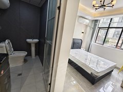 合肥高新客运西站汽车西站 安医附院 软件园 海亮九台别墅 美芝制冷 置地创新出租房源真实图片
