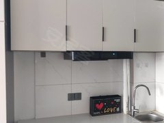 常州钟楼青枫公园运河美食夜市附近精装独门独户公寓出租房源真实图片