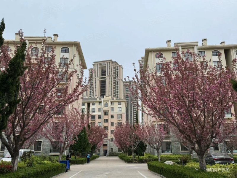 小区绿化环境优美,周边配套设施齐全,凤凰湖d区(凤凰小区500-719号)