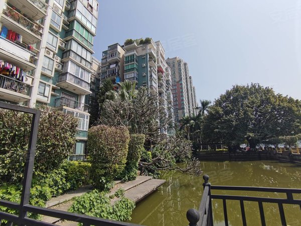 广州白云罗冲围富力半岛花园高层方正精装两房,干净整洁,随时拎包入住