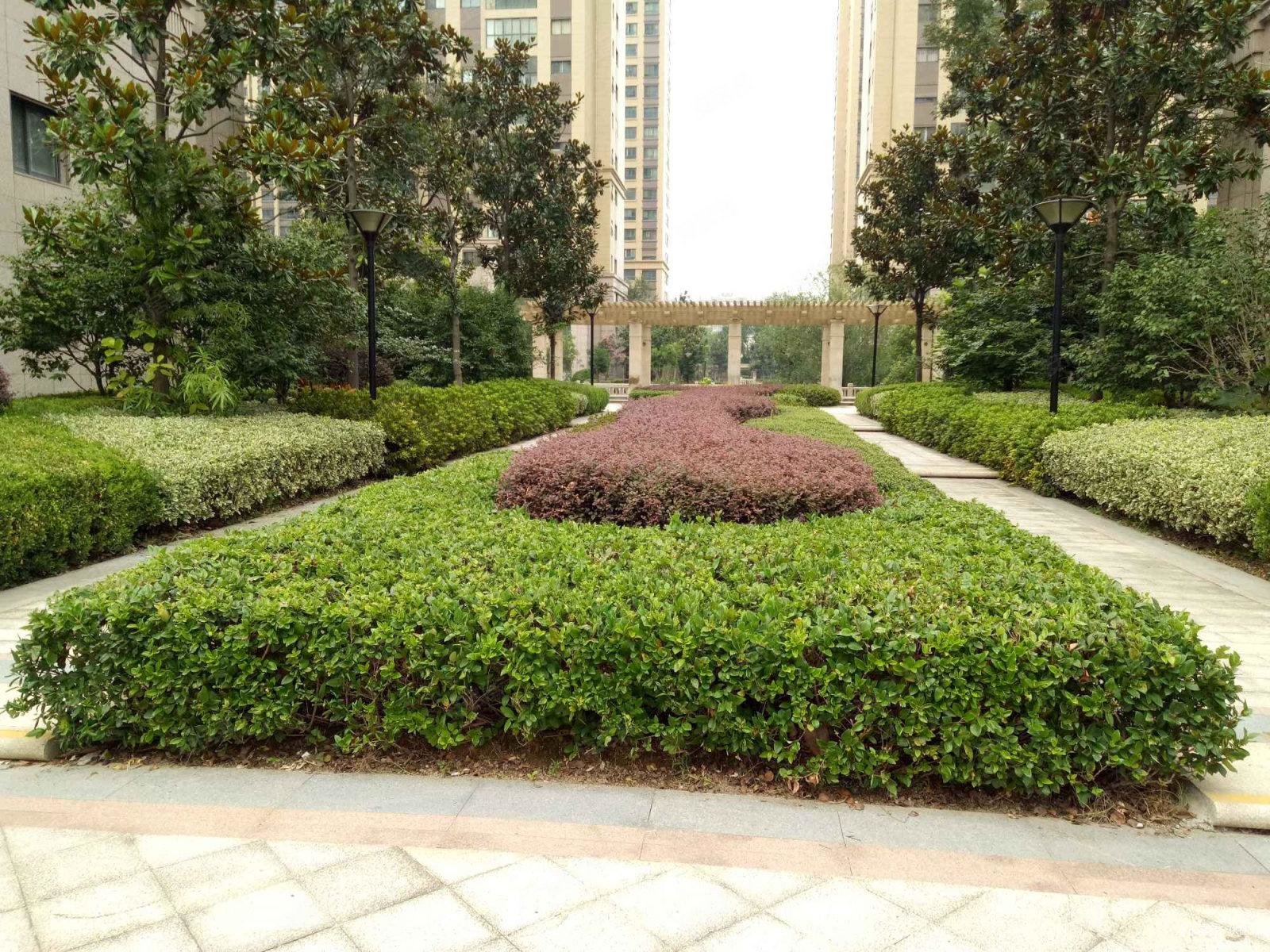 精装婚房 靠京华城,华鼎星城二手房,273万,3室2厅,2卫,133平米-扬州