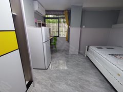 深圳罗湖蔡屋围地铁9号线园岭站出口,全新单间,低楼层,光线好,拎包入住出租房源真实图片