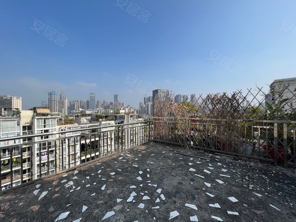 深圳龙华民治日出印象(a区)急租年底特荟好房 家门口就是公园学校 楼