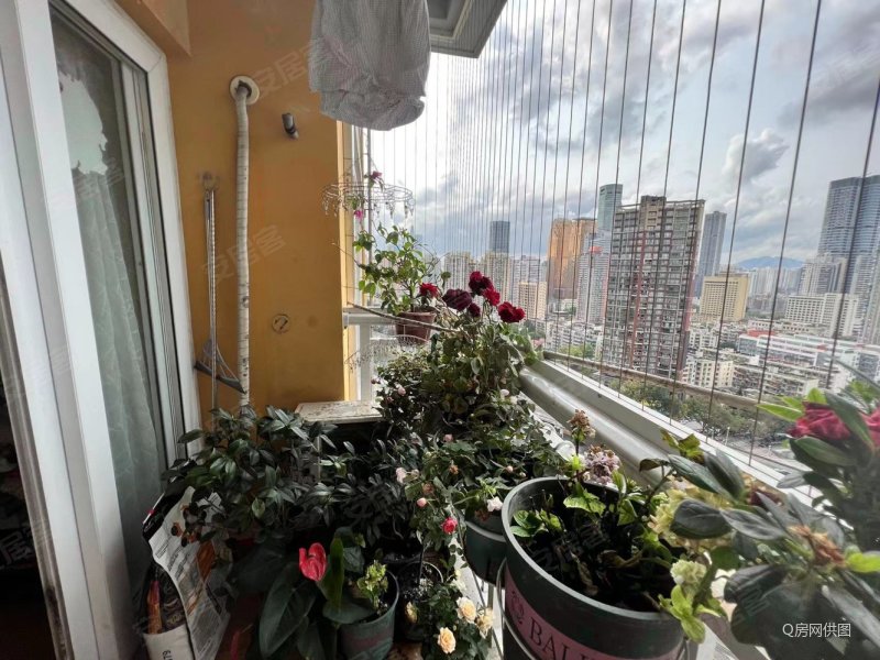 深圳房产网>深圳二手房>罗湖二手房>黄贝岭二手房>锦上花家园>800_600