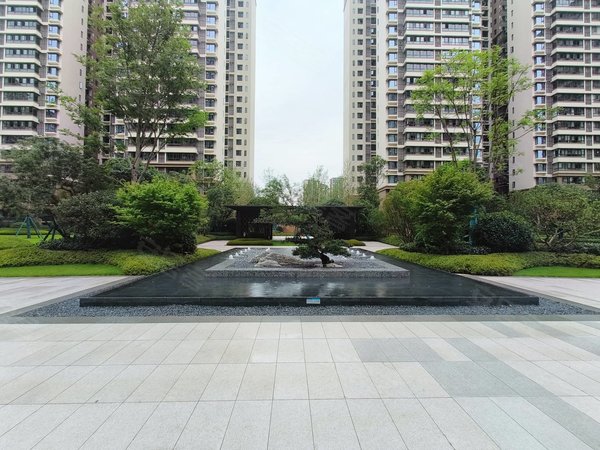 乐山市中万达广场森林城万达广场!全新装修三房!月租仅需1666!