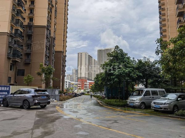 南宁兴宁区政府威宁世纪花城威宁世纪花城 精修两房 全新装修未入住