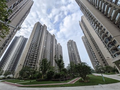 绿岛映月湾花园,禅港东路61号 - 佛山绿岛映月湾花园二手房,租房,房价