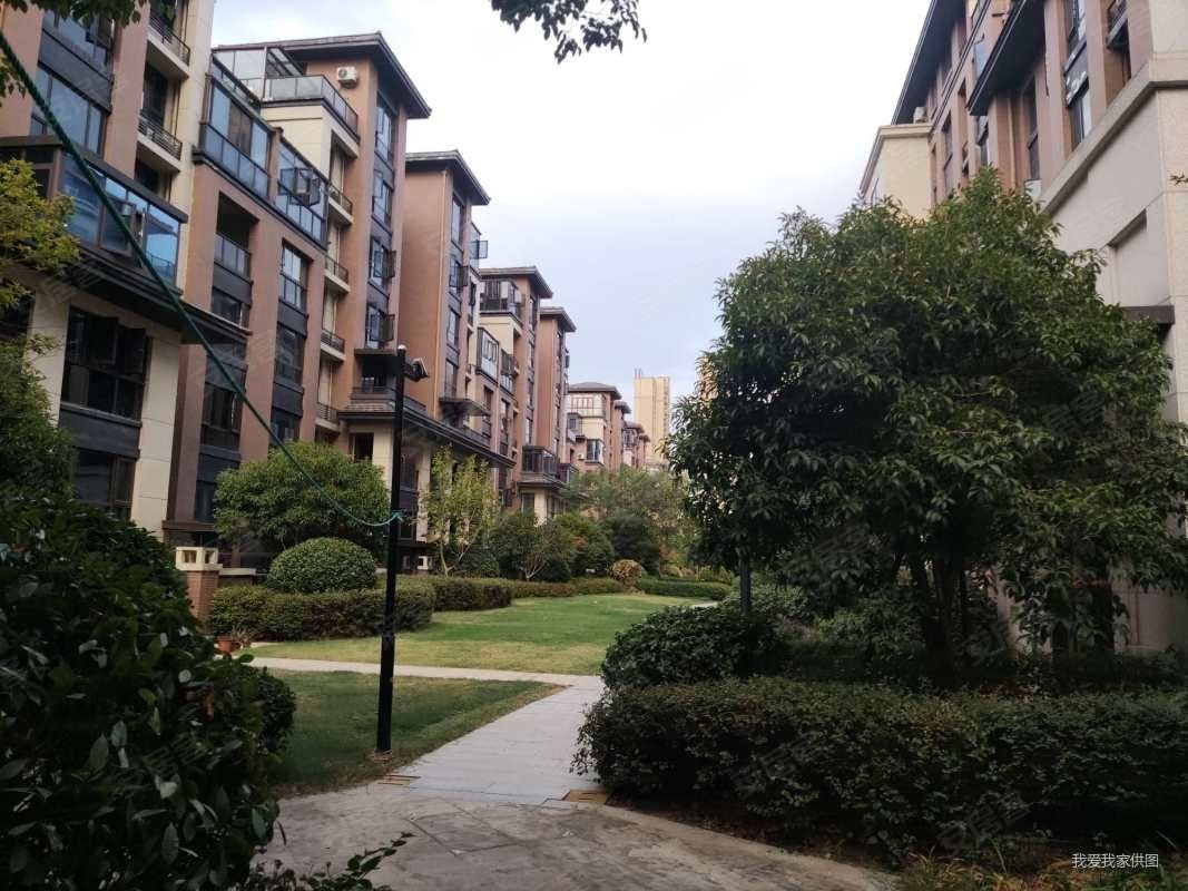 新力金沙湾4室2厅2卫123㎡南北180万