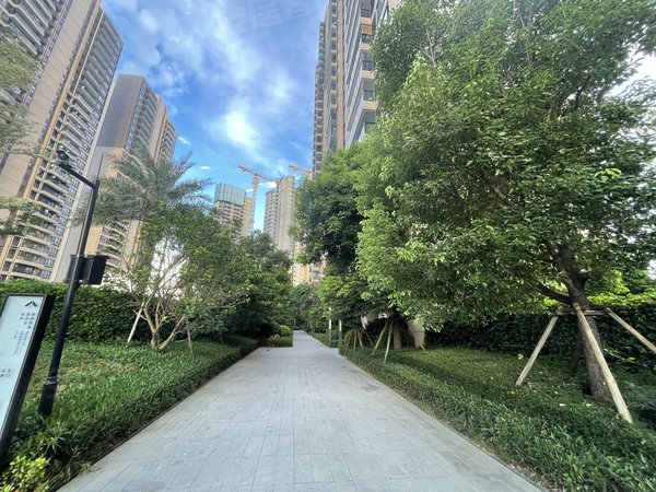 东莞茶山茶山城区时代天荟茶山时代荟 高层精装三房两卫 家私电齐全