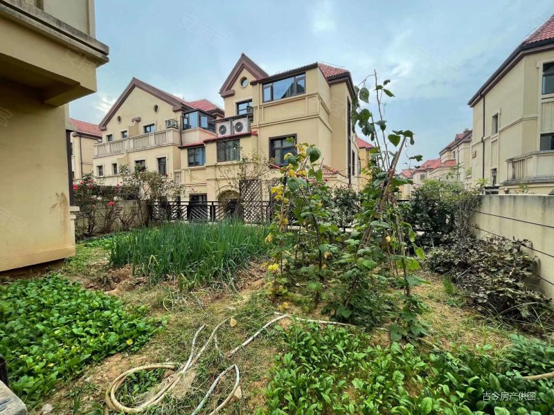 东方今典汤街小镇别墅次新小区超低密度三层豪宅