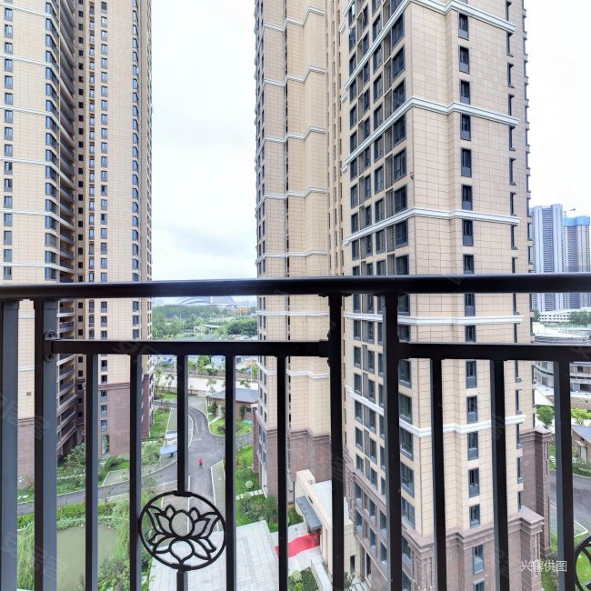 国博新城华江府