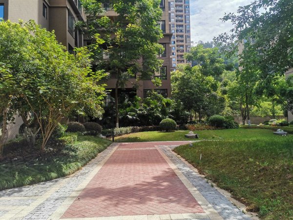 重庆合川合川滨江路安居大厦久长街附近单间配套经济实惠住多久都不会