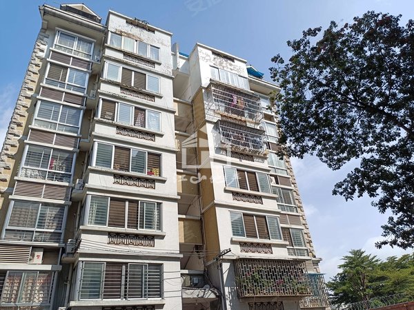 南宁西乡塘大学东路瑞士花园精装修,近地铁,南北通透出租房源真实图片