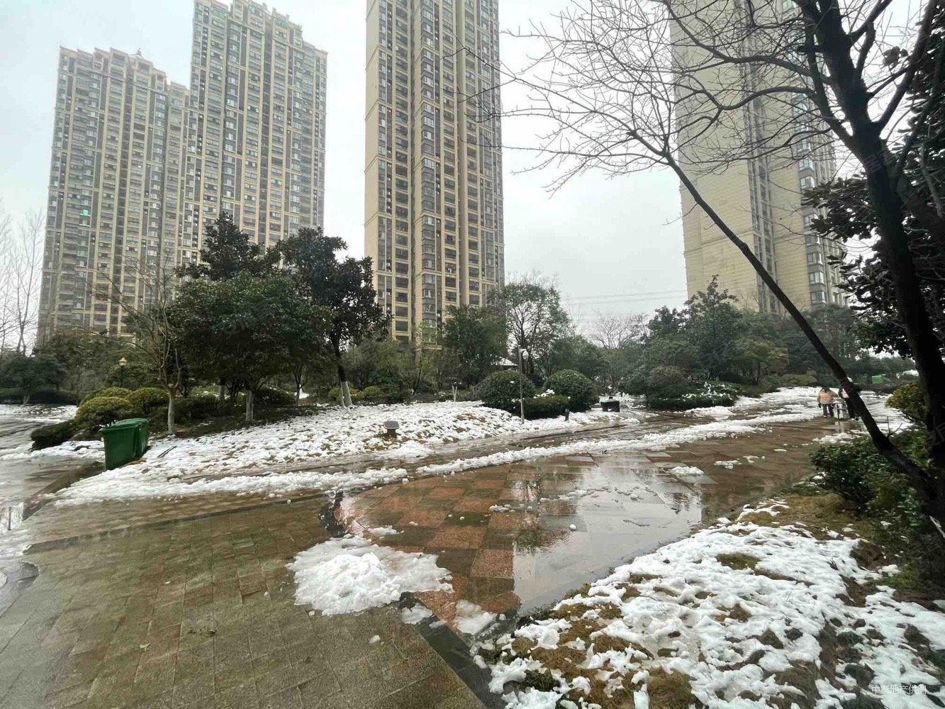 原树提香地铁三号线幸福坝采光不挡诚心出售