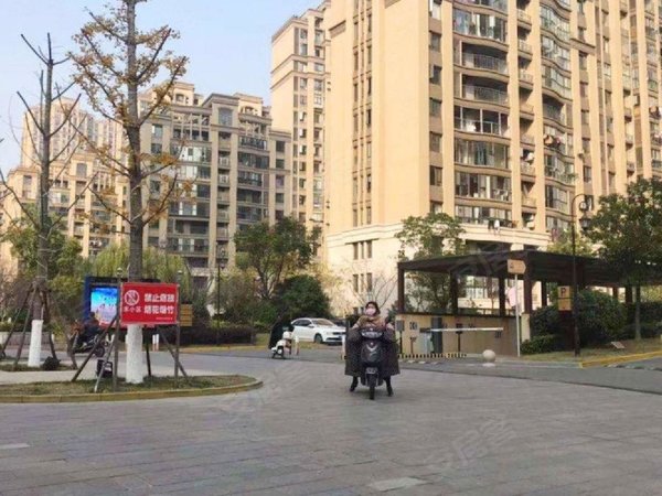 仕园高档小区 人文荟萃 高品质的象征 体验奢华生活出租房源真实图片