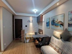 唐山丰润丰润万科金域华府(丰润) 1室1厅 精装修 电梯房 61平出租房源真实图片