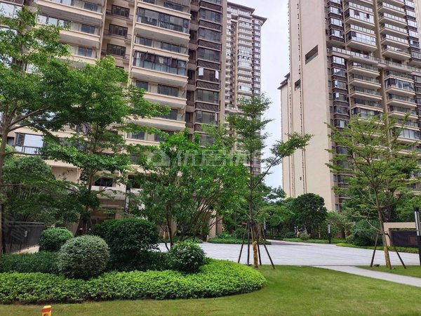 南宁良庆良庆镇金科博翠山(一期)地铁口出租随时可以看房学校旁边出租