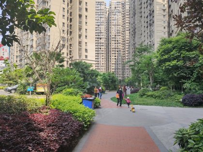 圣名公馆b区,江陵路东段171号 - 绵阳圣名公馆b区二手房,租房,房价
