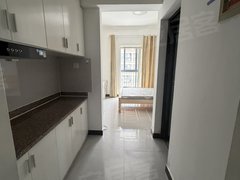 平湖平湖市区市区人才公寓   精装修 拎包入住出租房源真实图片