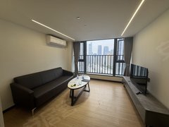 东莞南城西平西平新地中心 电梯房 精装修 2室2厅2卫出租房源真实图片