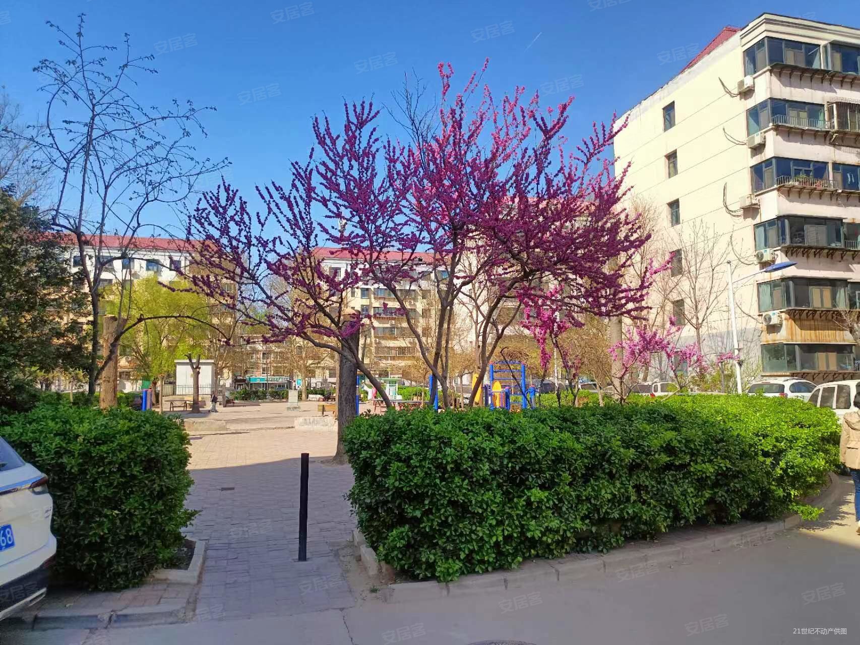 40中祥龙花园3楼精装自住临北方设计院水勘院