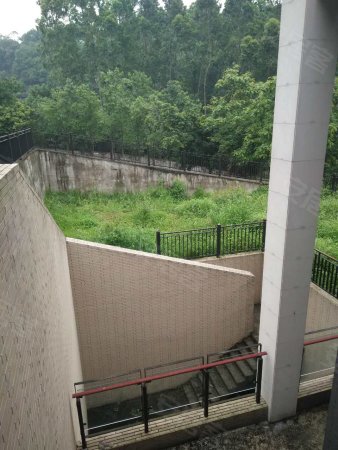 凯丽山庄半山别墅带电梯占地1800方超大后花园售1950万