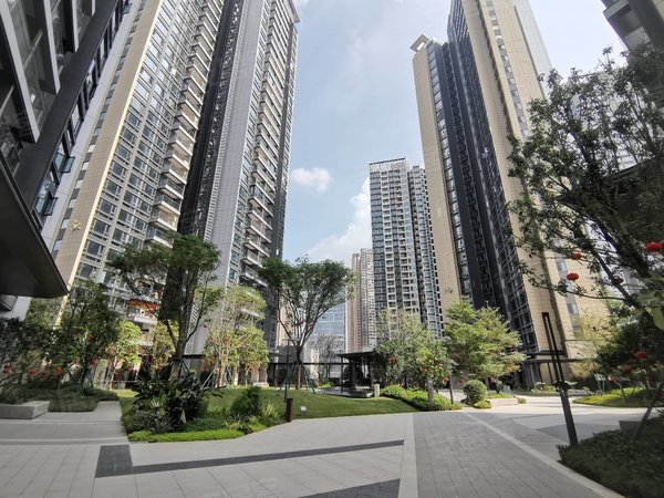 卓弘星辰旁,星河智荟对面,龙岗租房-深圳58安居客