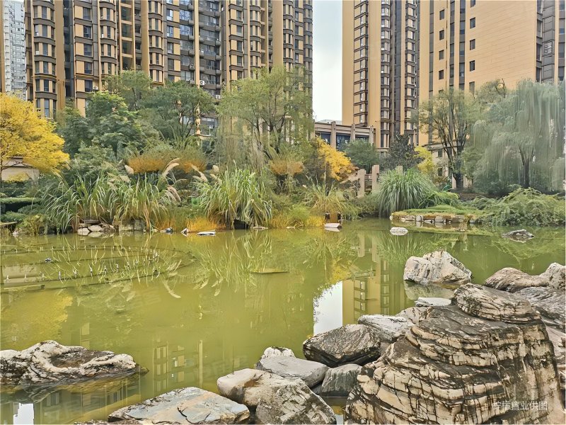 西安房产网>西安二手房>经开区二手房>行政中心二手房>国金华府>800