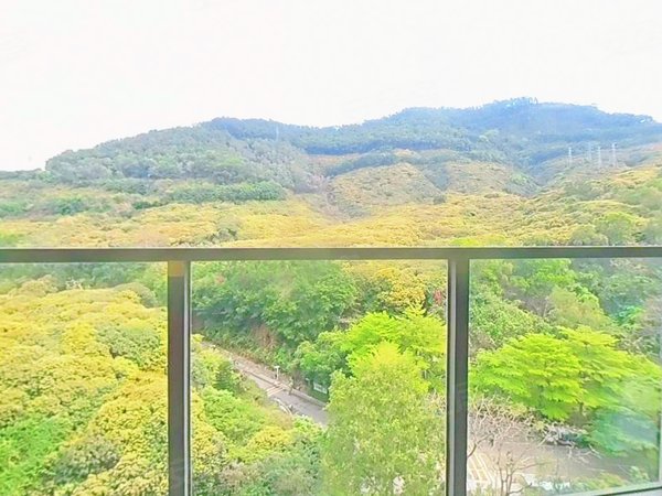 深圳南山桃源村十五峯花园新上!