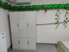 梨树县城区梨树县城区出租出租，可以日租，长租更优惠！出租房源真实图片