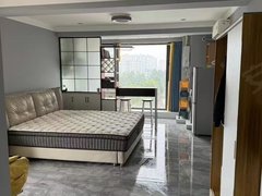鹤壁淇滨万达广场铂金翰宫!一室一厅一厨一卫,精装修拎包入住,半年起租!出租房源真实图片