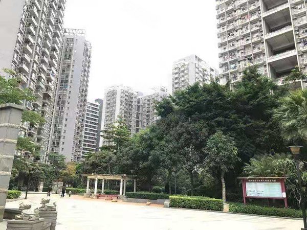 【多图】华南西苑,平湖租房,华南西苑精装三房出租,小区环境优美,出门