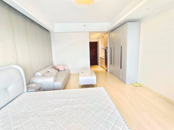 城精装1房临平地铁口美亚大厦ifc西子国际永安,临平租房-杭州58安居客