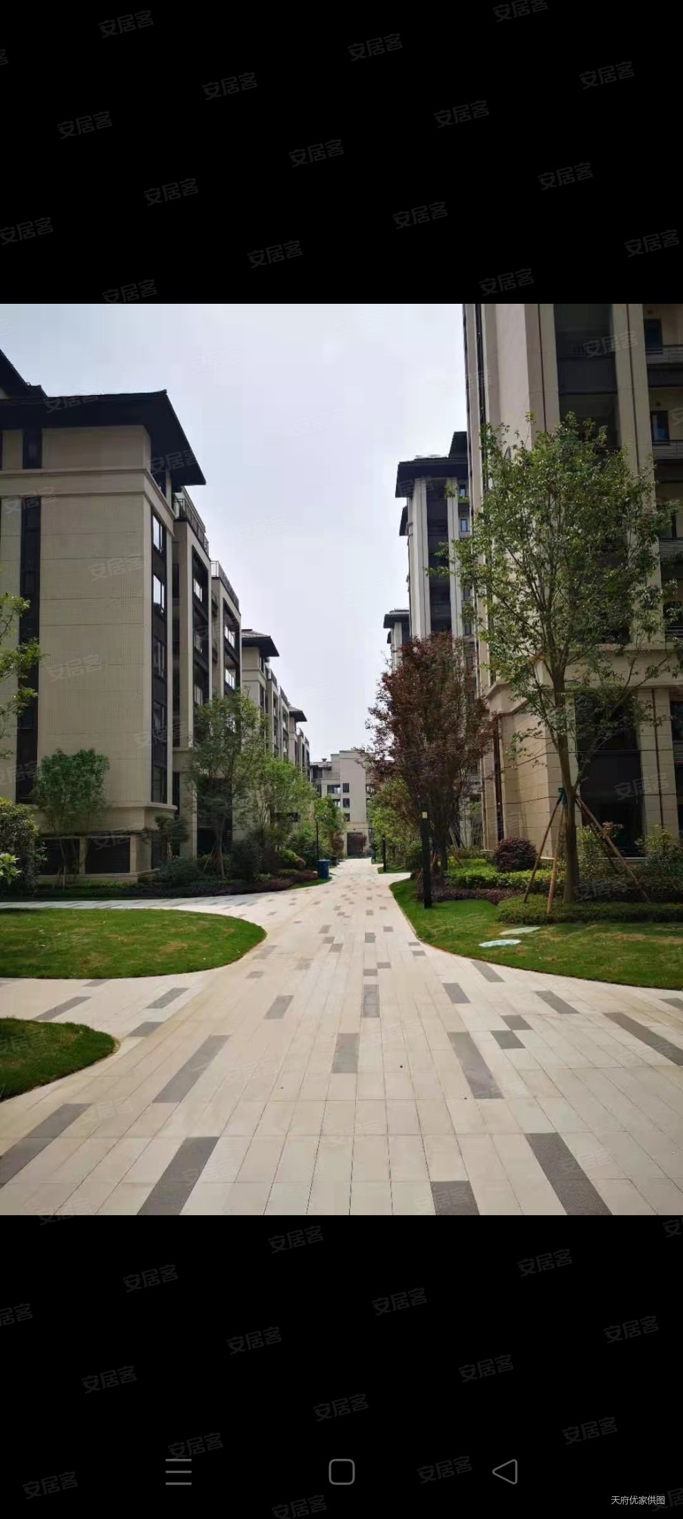 保利天府林语4室2厅2卫114.36㎡南125万