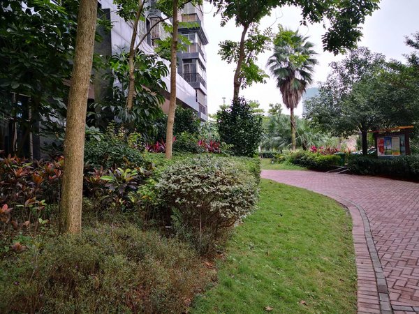 南宁青秀凤岭南梦之岛花园汇东郦城近地铁 梦之岛花园精装三房租1700