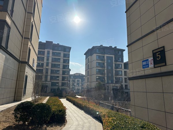 大连金州金州八一路保利堂悦(二期)保利堂悦 可看海 包暖和物业费