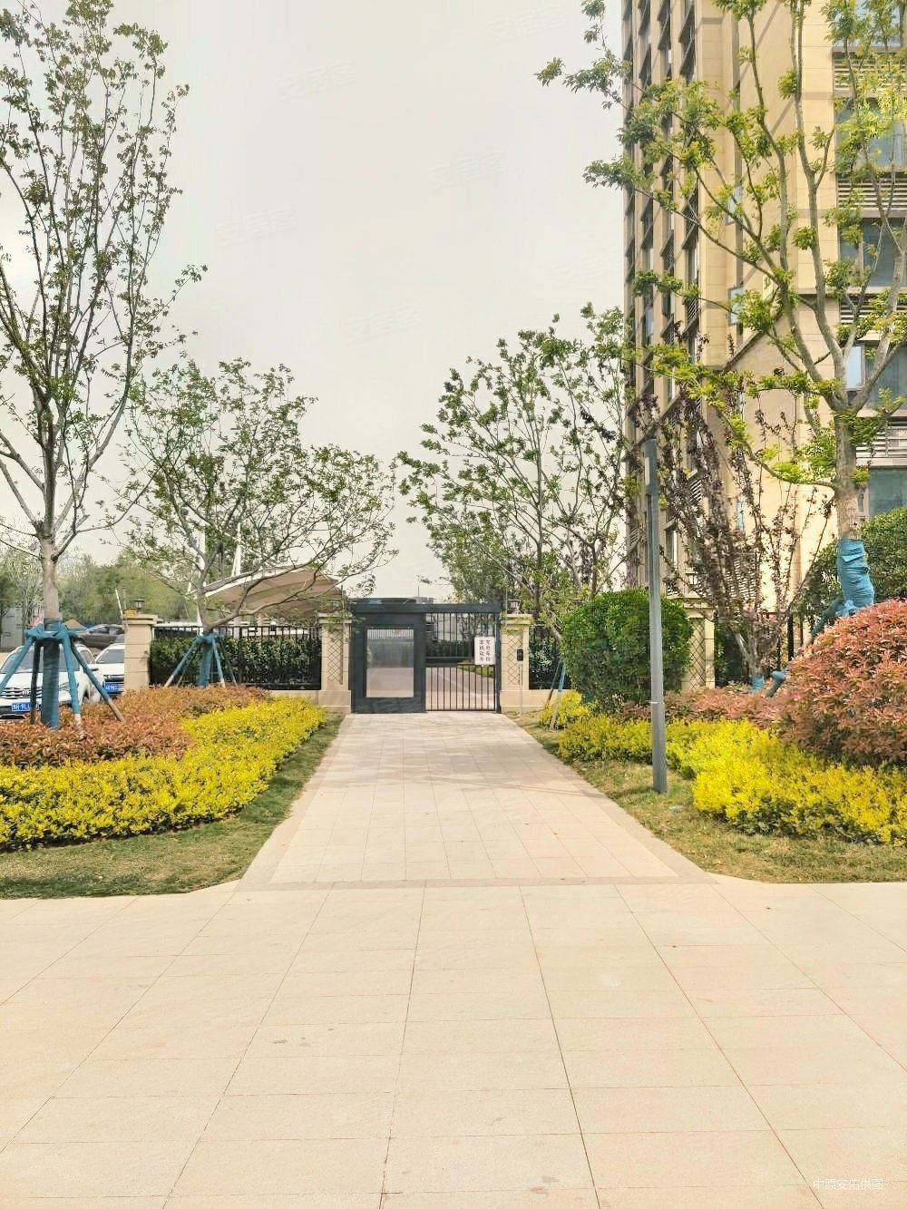 双湖大道地铁口碧桂园双湖城大门口一楼电梯口可住做生意