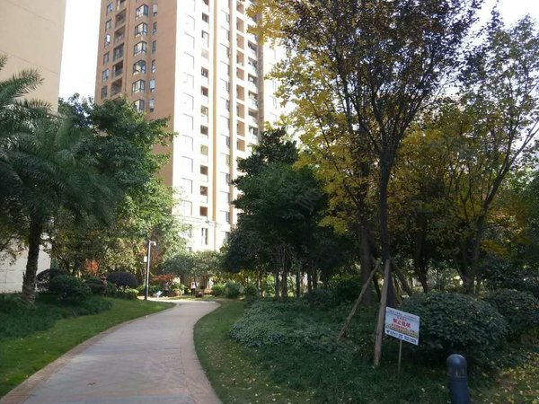 【多图】光华观府国际,观音桥租房,观音桥正商圈 观府国际温馨两房