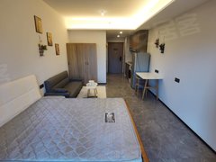 东莞南城南城车站新上房源 保利欢乐大都汇大单间 保养新 随时看出租房源真实图片