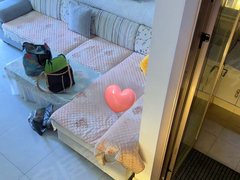 武汉黄陂盘龙城地铁口二号线华虹领航城 2室2厅2卫  豪装复式电梯房出租房源真实图片