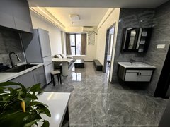 南京浦口江浦街道整租！龙湖天街  精装首租  拎包入住  雨山路地铁口出租房源真实图片