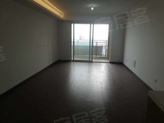 合肥新站陶冲湖陶冲湖别院 4室2厅2卫  电梯房 精装修124平米出租房源真实图片