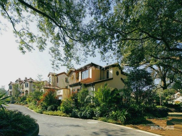 温泉别墅建面95平米使用面积300平 5房3厅4卫